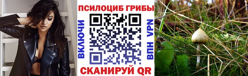 Купить  Тюкалинск  Галлюциногенные грибы MAGIC MUSHROOMS 